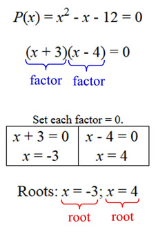 Zero of polynomial deals calculator