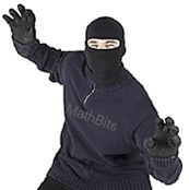 ninja7