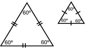 examples of non congruent shapes