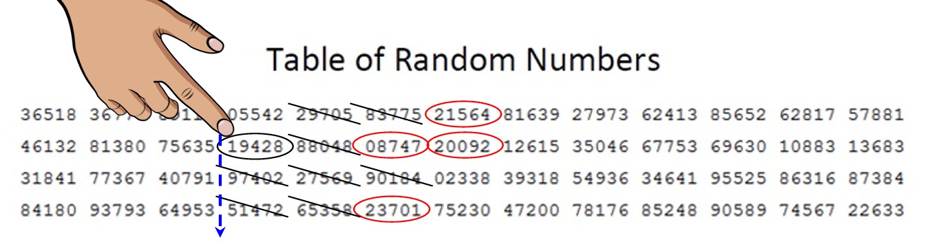 Random Sampling Mathbitsnotebook Jr