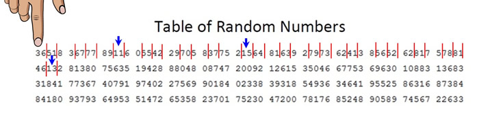 randomchartsmall4